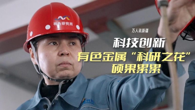 互联网技术基础教程：从入门到实践**